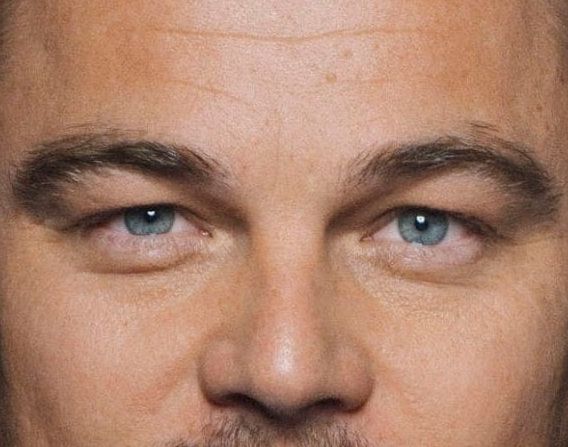 Leonardo DiCaprio eye color